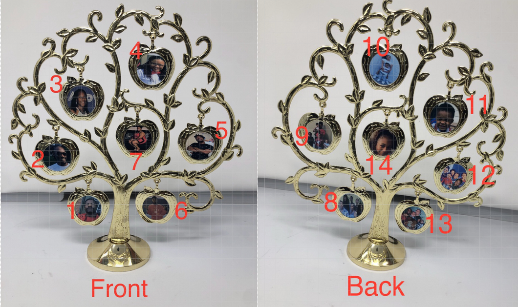 Picture Tree/Family tree